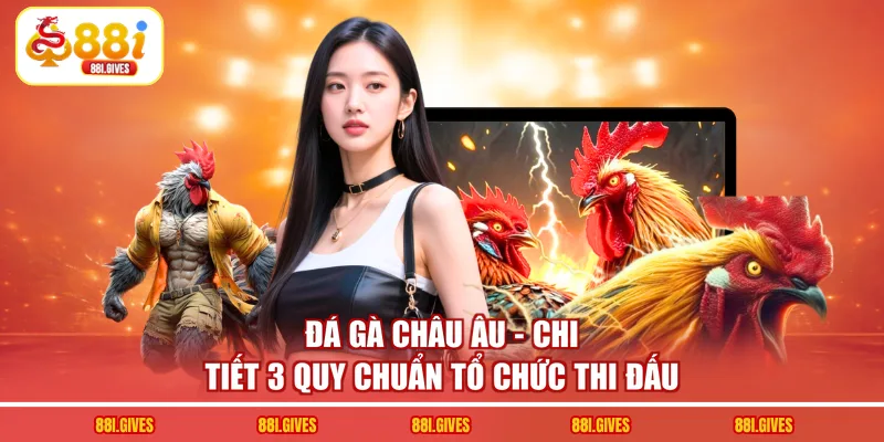 Đá Gà Châu Âu - Chi Tiết 3 Quy Chuẩn Tổ Chức Thi Đấu