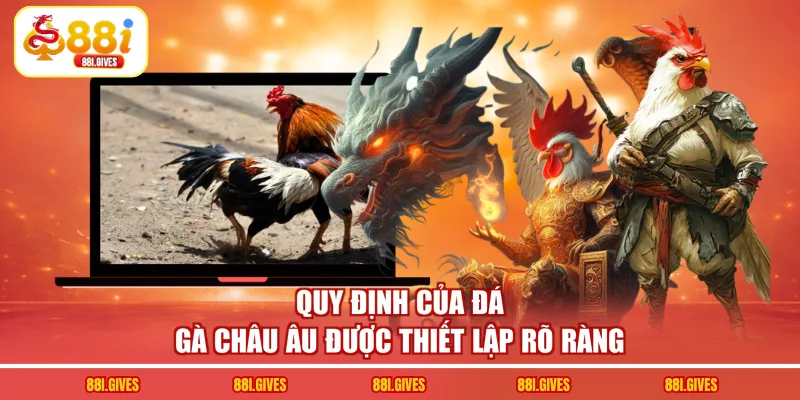 Quy định của đá gà châu Âu được thiết lập rõ ràng