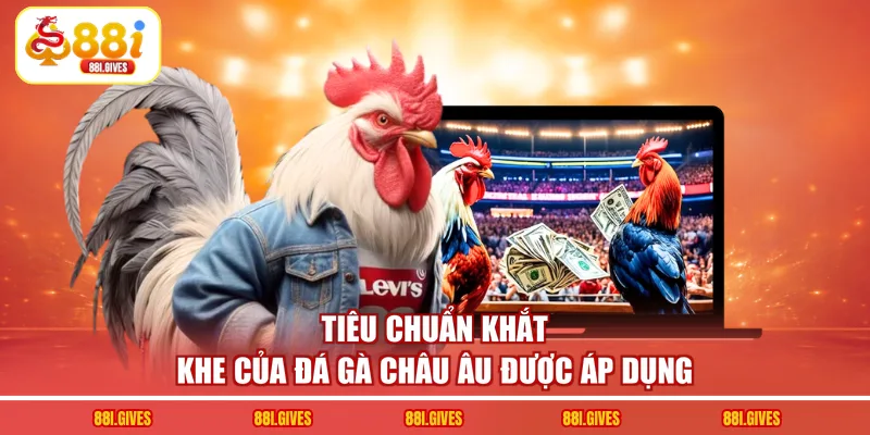 Tiêu chuẩn khắt khe của đá gà châu Âu được áp dụng